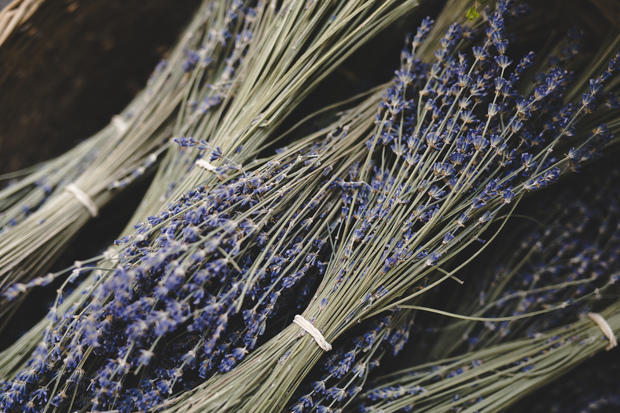 Dry Lavender